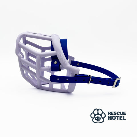 Charity Colour Muzzle – The Rescue Hotel - Ready to Ship