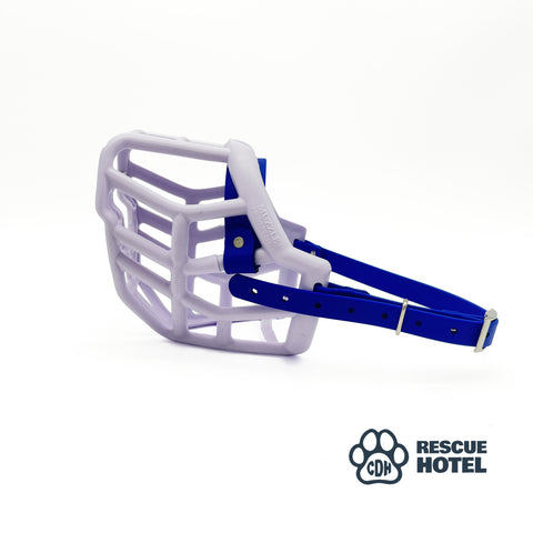 Charity Colour Muzzle – The Rescue Hotel - Ready to Ship