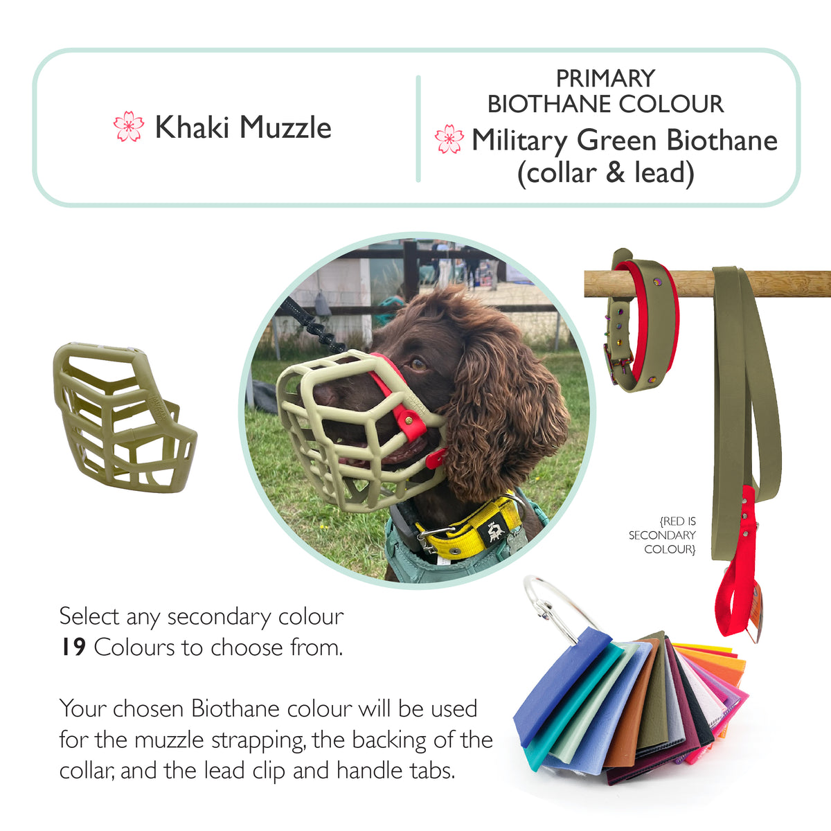 Rex Dog Muzzle Collar and Lead set