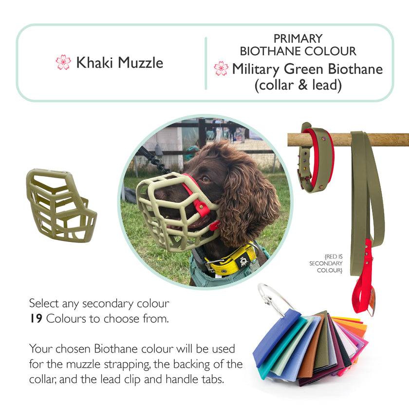 Rex Dog Muzzle Collar and Lead set