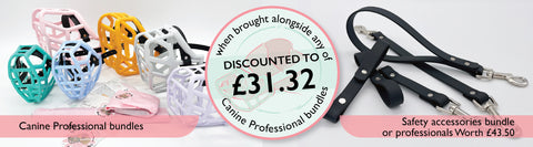 Safety accessories bundle for professionals