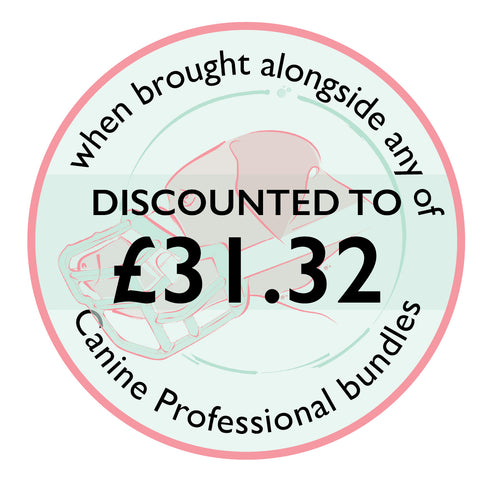 Safety accessories bundle for professionals