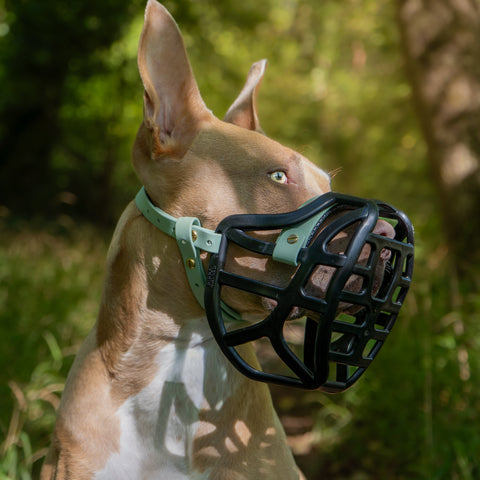The Muzzle Movement Size Pippa Dog Muzzle for Trade Pre Order - SHIPPING DUE TO START FROM THE 8TH DECEMBER 2025