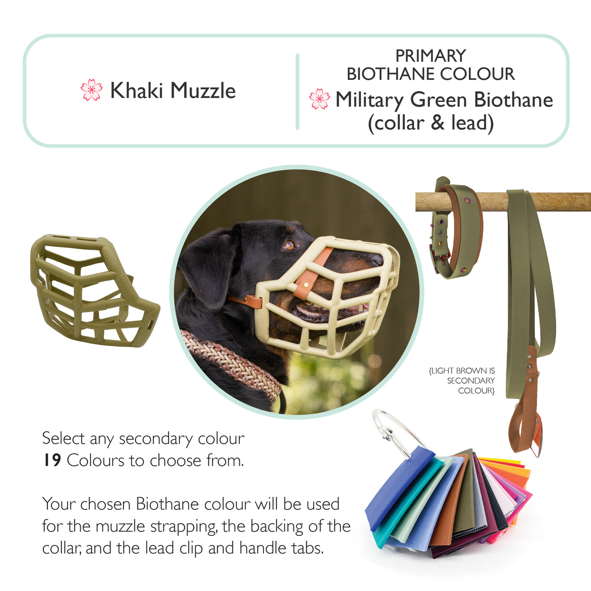 Sunny Muzzle Collar and Lead set