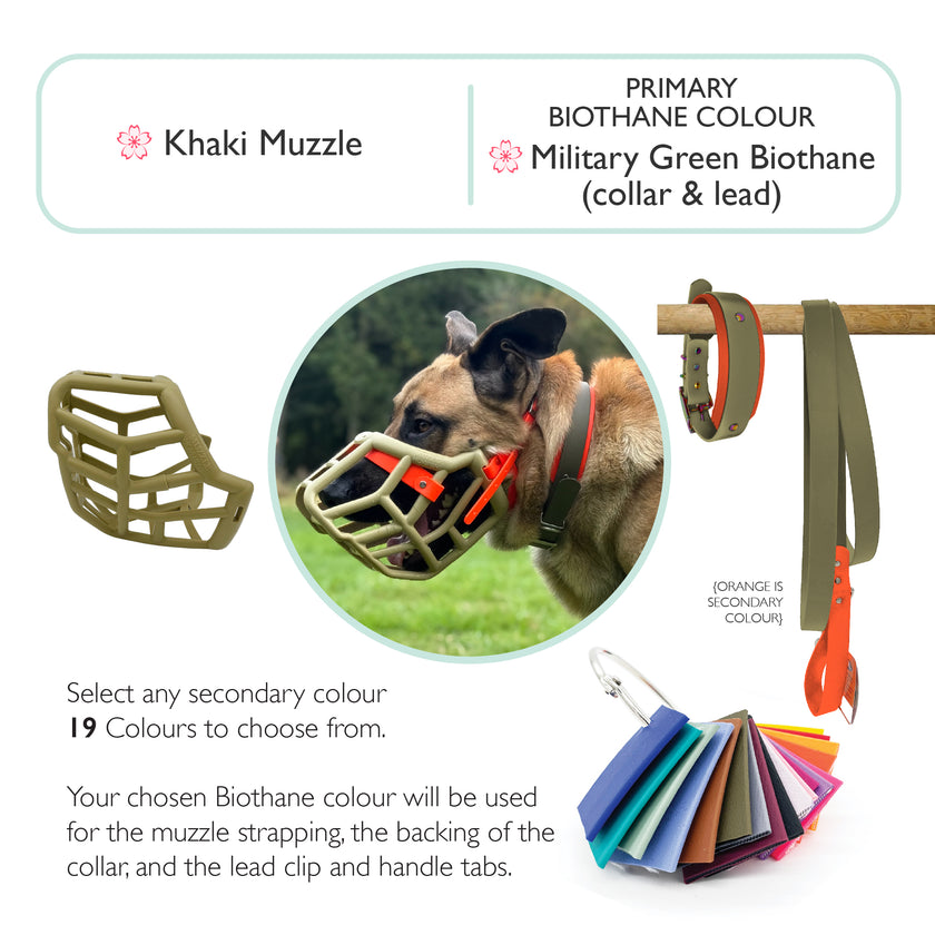 Sunny* Muzzle Collar and Lead set