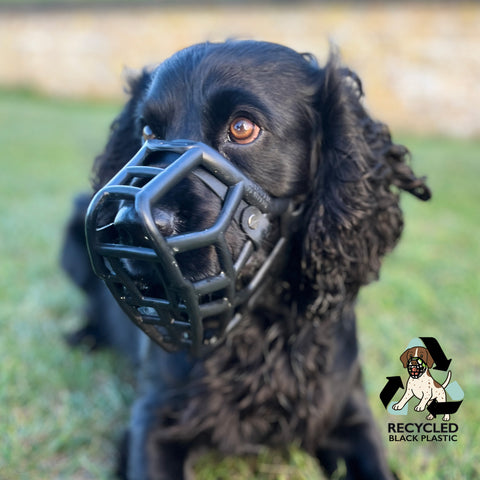 The Muzzle Movement Black Muzzles – Limited Edition Recycled for Trade