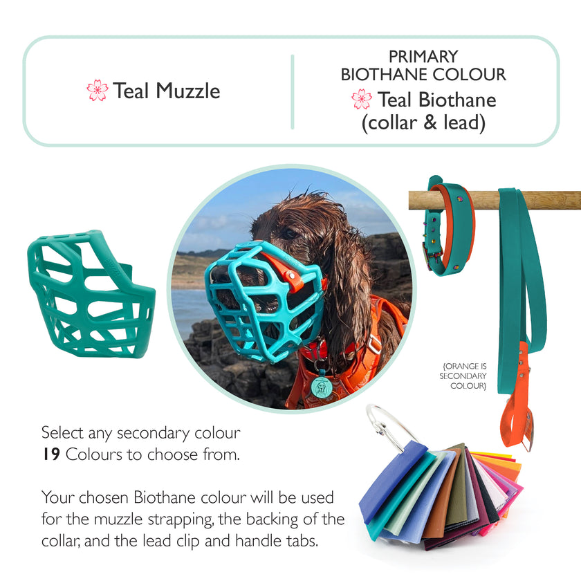 Taz* Muzzle Collar and Lead set