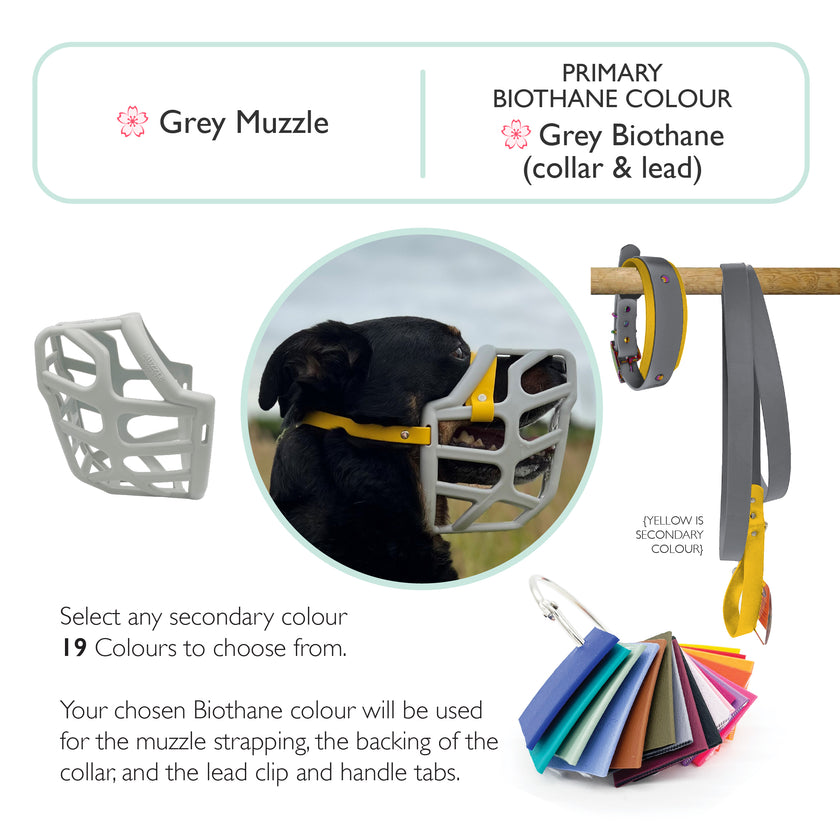 Taz Muzzle Collar and Lead set