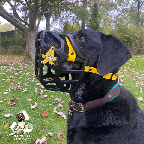 Taz Black Muzzle – Limited Edition Recycled - Ready to Ship