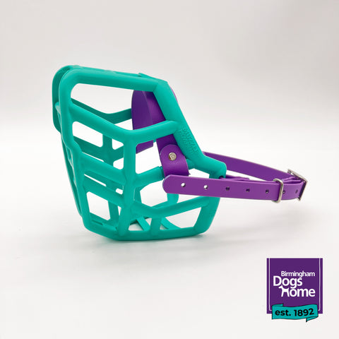 Charity Colour Muzzle – Birmingham Dogs Home - Ready to Ship