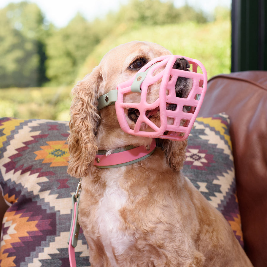 PRE ORDER Pastel Pink Size Mia Dog Muzzle - Made to order muzzle with colour customisation (shipping September 2026) (Clara test)