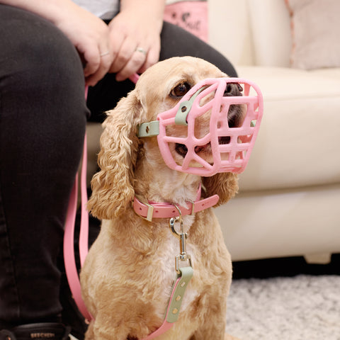 PRE ORDER Size Mia Dog Muzzle - Made to order muzzle with colour customisation (shipping September 2026)