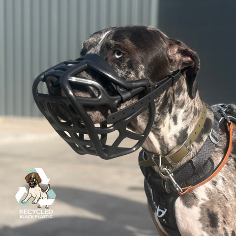 Harry 2.0 Black Muzzle – Limited Edition Recycled - Ready to Ship