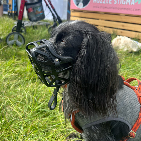 PRE ORDER Size Mia Dog Muzzle - Made to order muzzle with colour customisation (shipping September 2026)