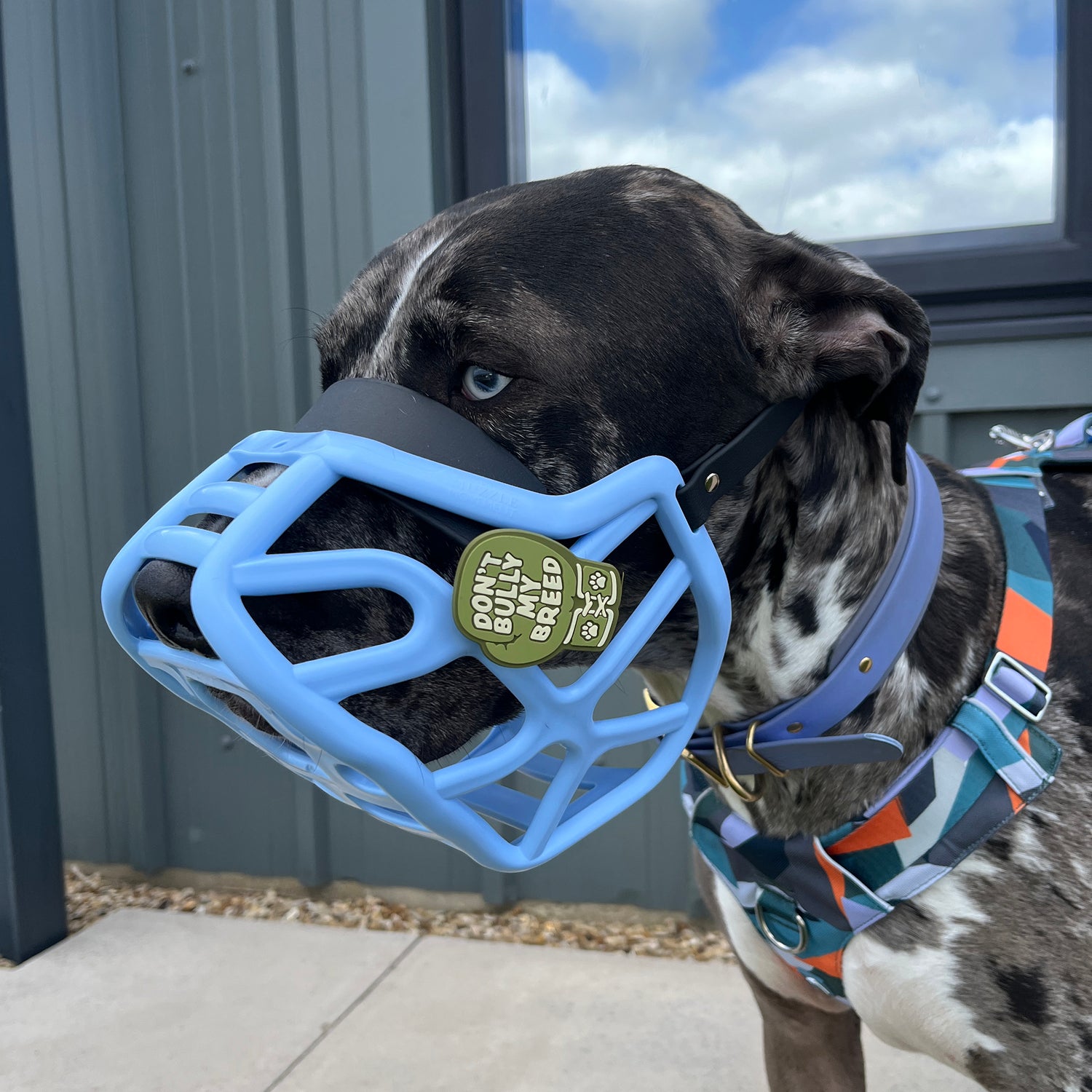 Snooties™ – Don’t Bully My Breed Snootie Muzzle Charm