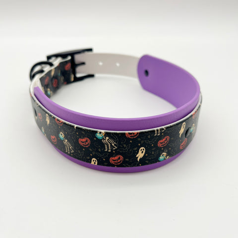 Halloween 2025 – Spookcellent Exclusive Dual Tone Collar