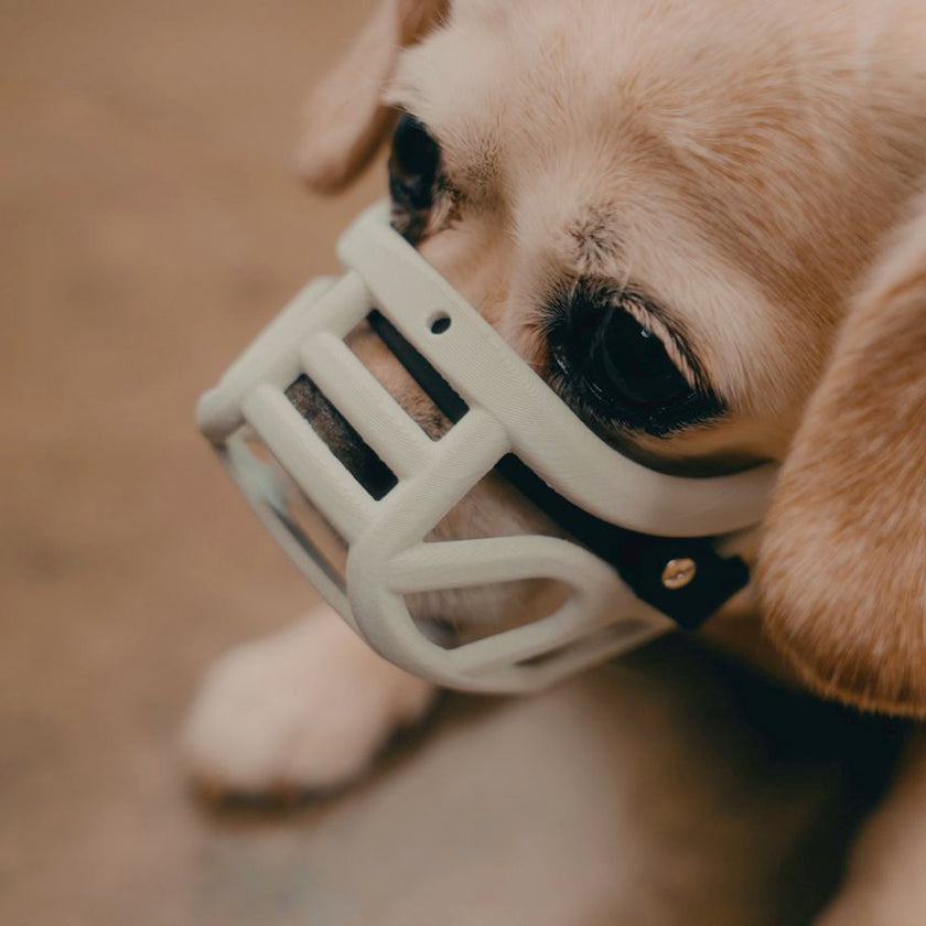 PRE ORDER Grey Size Mia Dog Muzzle - Made to order muzzle with colour customisation (shipping September 2026) cl