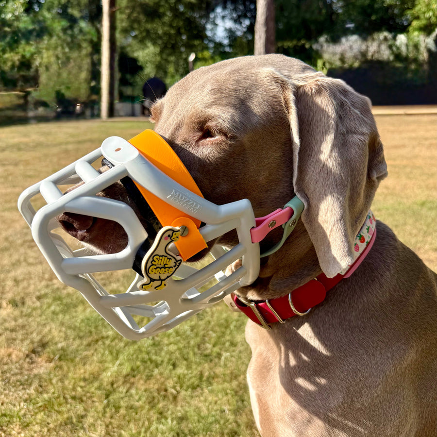 Snooties™ –  Silly Goose Snootie Muzzle Charm