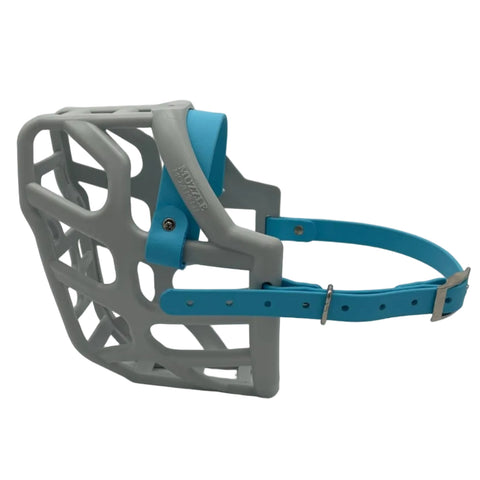 The Muzzle Movement Grey Taz dog muzzle skyan blue straps and nickle hardware on a white background