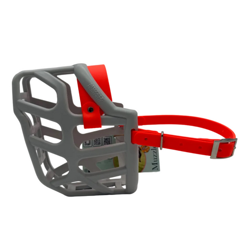 The Muzzle Movement Grey Taz* dog muzzle with orange straps and nickle hardware on a white background