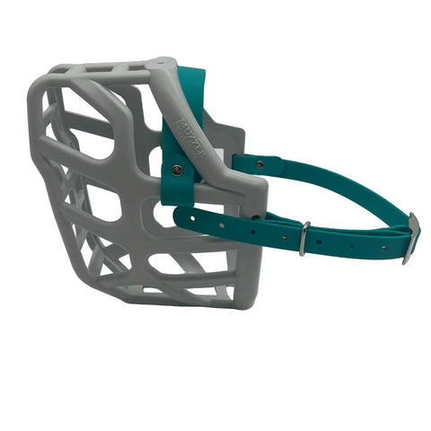 The Muzzle Movement Grey Taz dog muzzle with teal straps and nickle hardware on a white background
