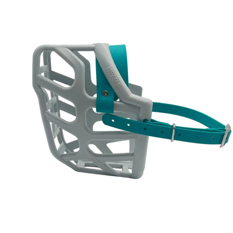 The Muzzle Movement Grey Taz* dog muzzle with teal straps and nickle hardware on a white background
