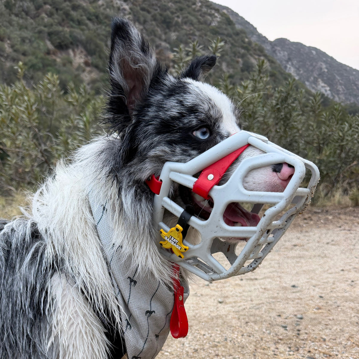 Snooties™ – I Eat Garbage Banana Muzzle Charm