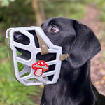 A black dog wearing a grey dog muzzle with a red mushroom-shaped snootie charm that reads 'FORAGE'. The background is a blurred outdoor forest path.