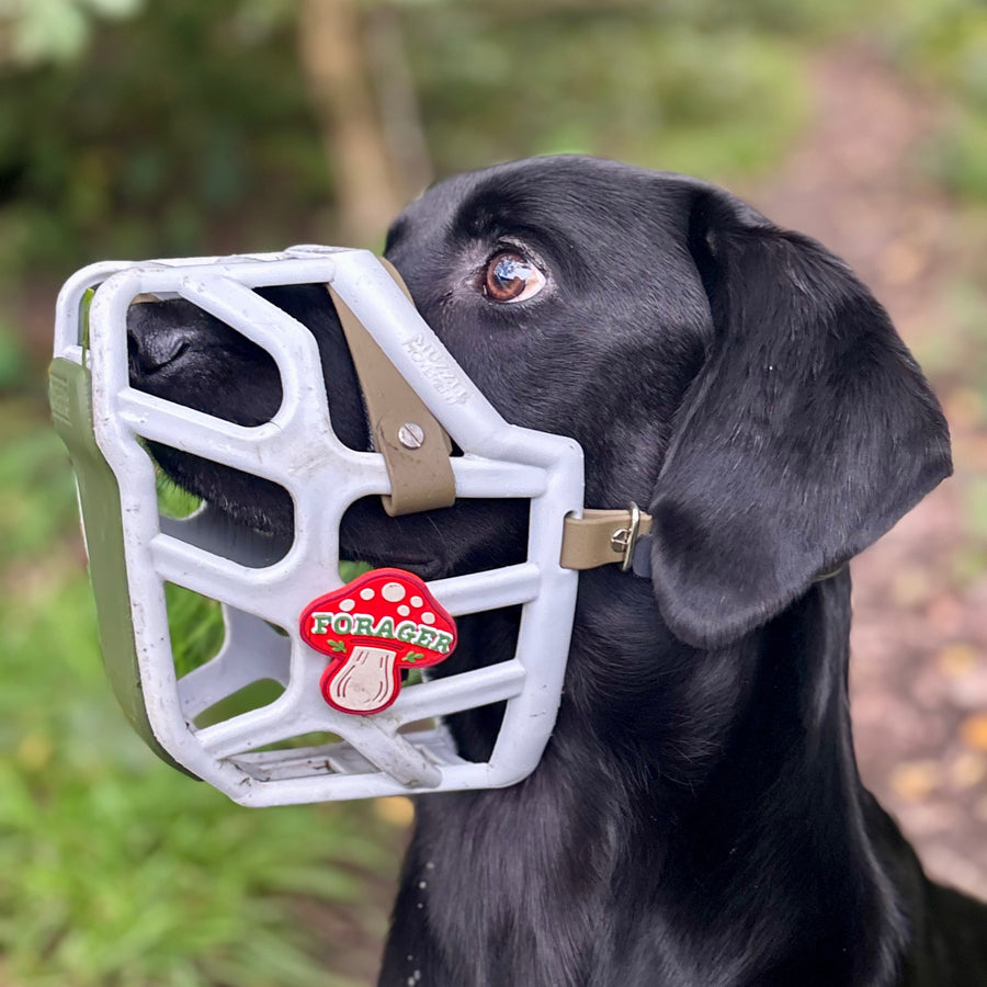 A black dog wearing a grey dog muzzle with a red mushroom-shaped snootie charm that reads 'FORAGE'. The background is a blurred outdoor forest path.