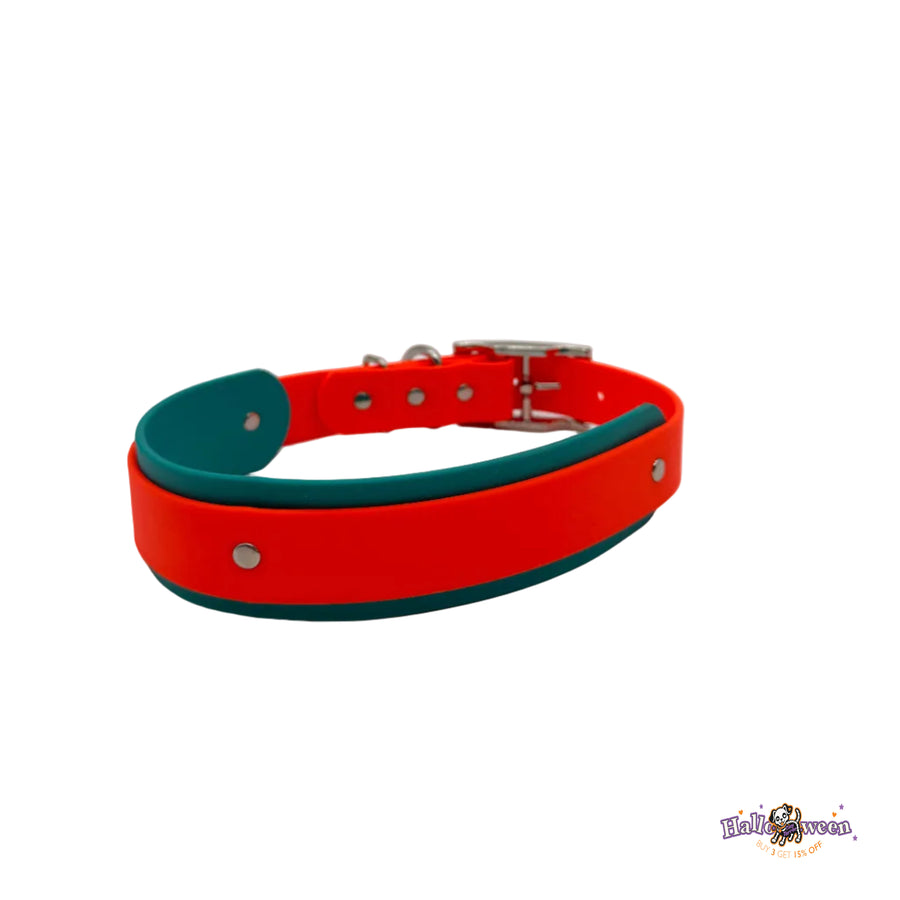 Halloween Dog Collar - Ready to ship