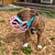 Size Harry 2.0 Dog Muzzle - Made to order muzzle with colour customisation