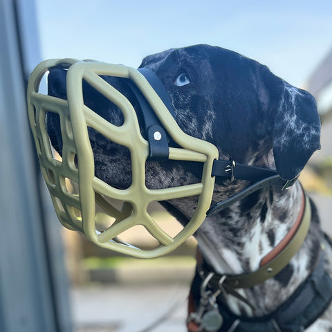 Size Harry 2.0 Dog Muzzle - Made to order muzzle with colour customisation