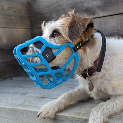 PRE ORDER Size Jimmy Dog Muzzle - Made to order muzzle with colour customisation (shipping March 2027)