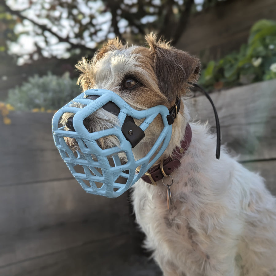 PRE ORDER Baby Blue Size Jimmy Dog Muzzle - Made to order muzzle with colour customisation (shipping March 2027) (Clara test)