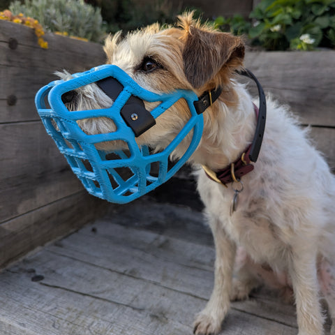 PRE ORDER Size Jimmy Dog Muzzle - Made to order muzzle with colour customisation (shipping March 2027)