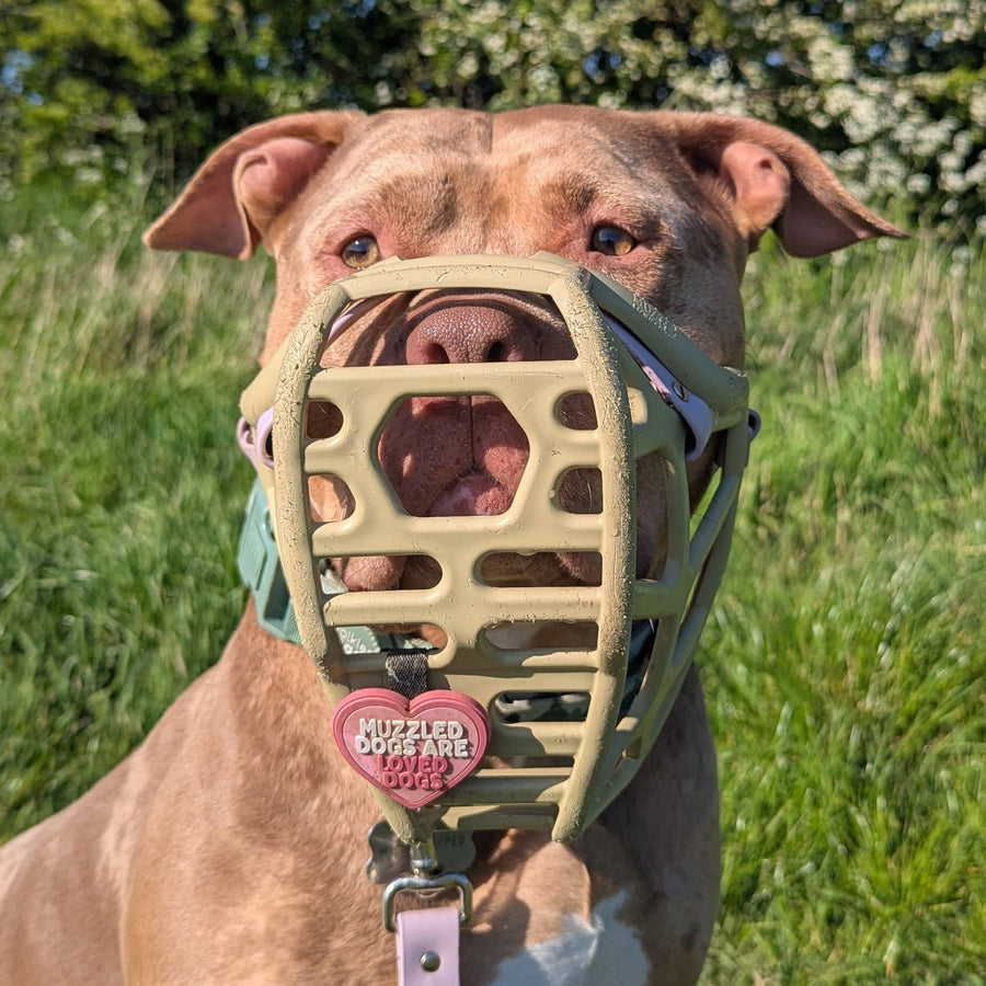 Snooties™ – Muzzled Dogs Are Loved Dogs Snootie Muzzle Charm
