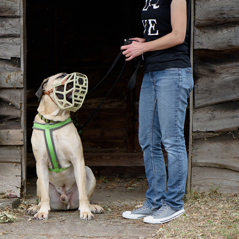 Size Mitzy Dog Muzzle - Made to order muzzle with colour customisation