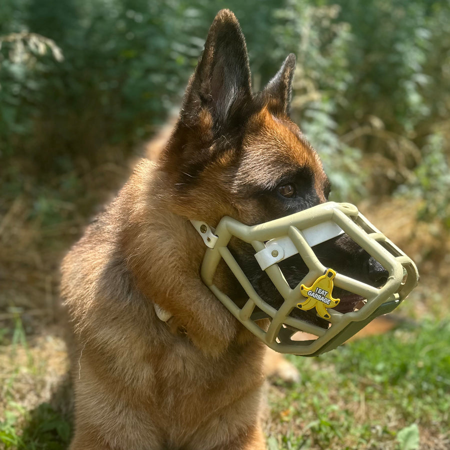 Size Sunny Dog Muzzle- Made to order muzzle with colour customisation
