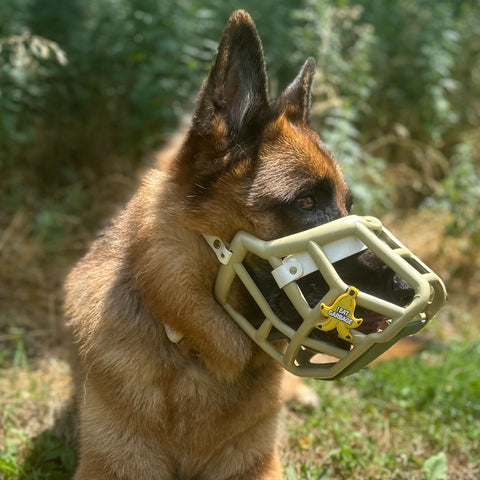 Snooties™ – Muzzle Charm