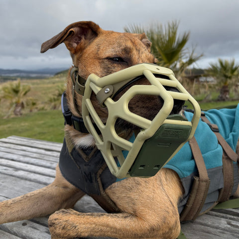 Extra-secure scavenger guard