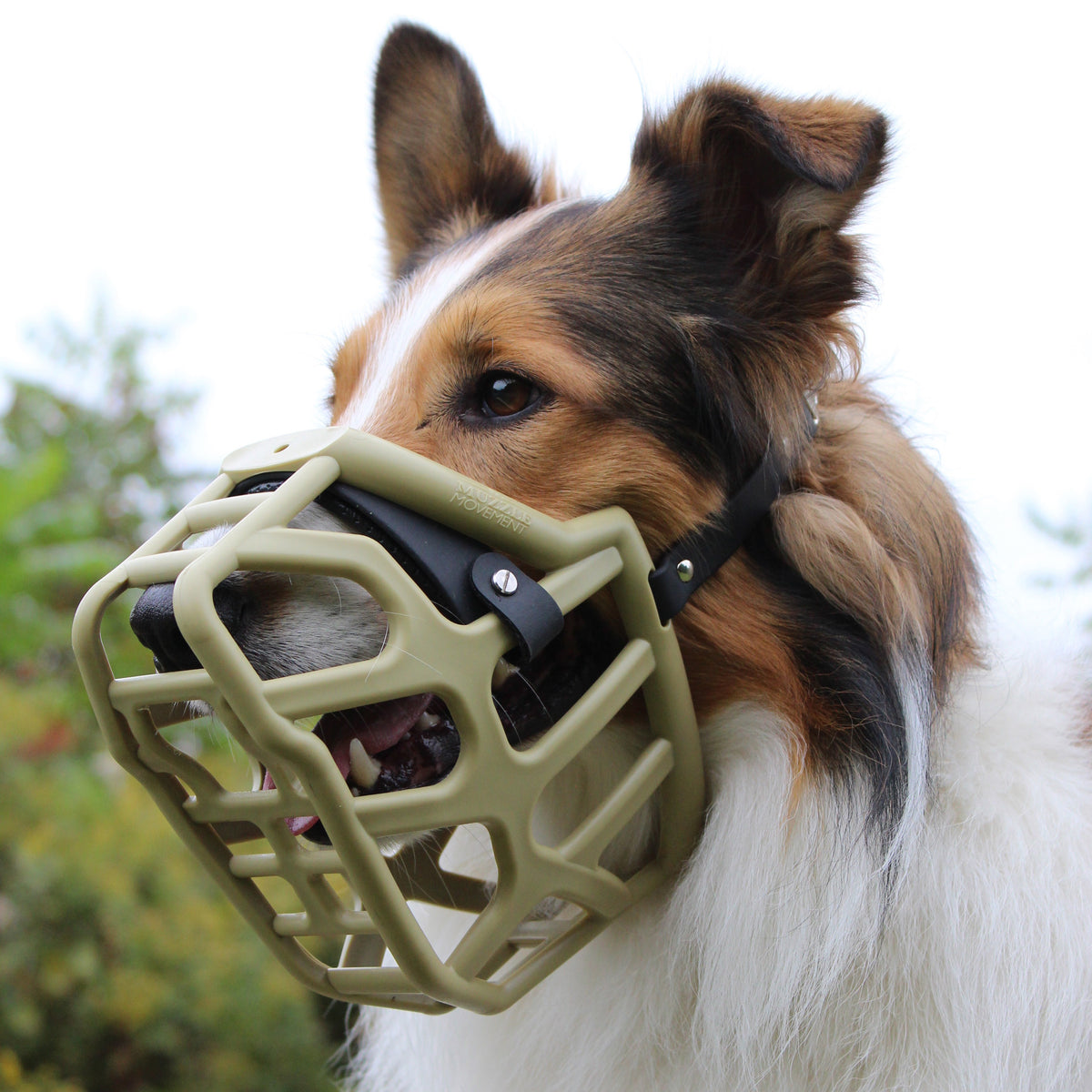 Size Taz Dog Muzzle - Made to order muzzle with colour customisation
