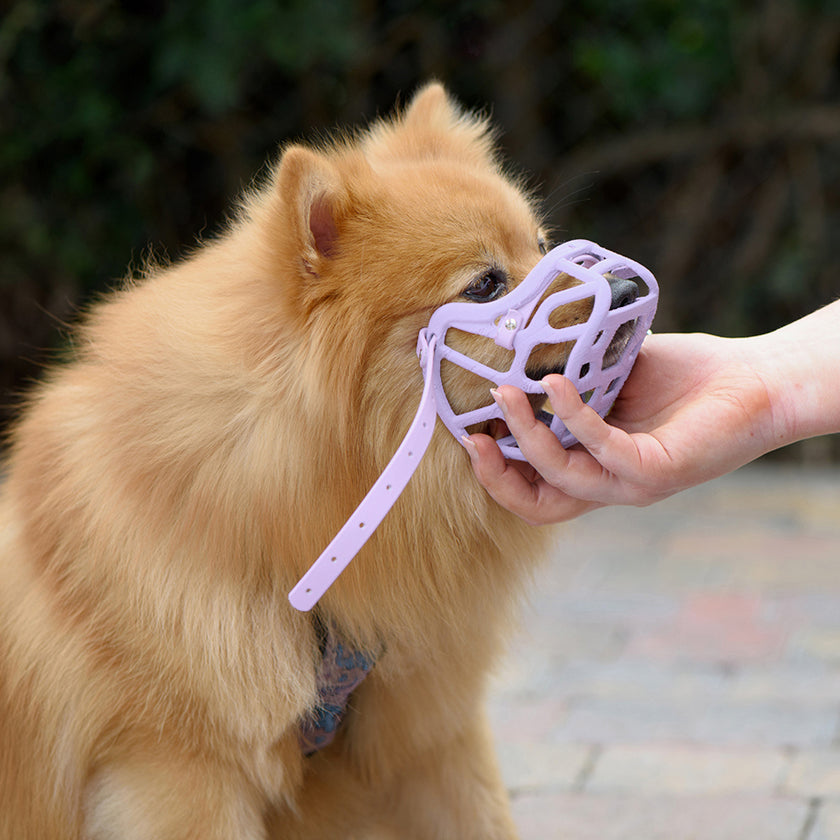 PRE ORDER Lilac Size Mia Dog Muzzle - Made to order muzzle with colour customisation (shipping September 2026) cl