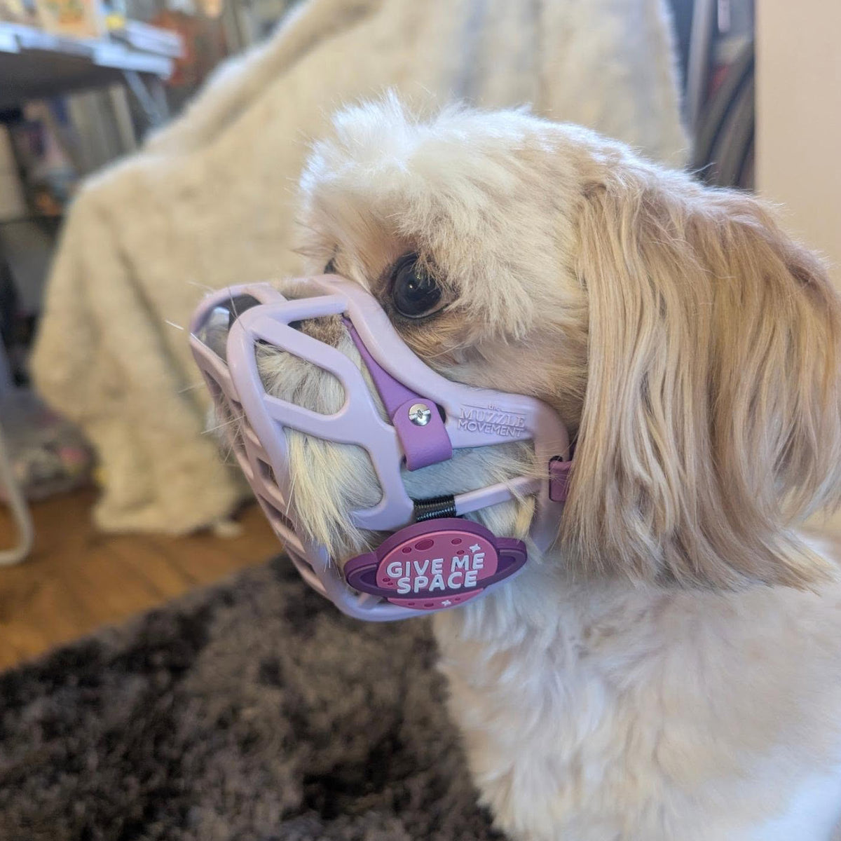 Lilac Size Mia Dog Muzzle - Made to order muzzle with colour customisation