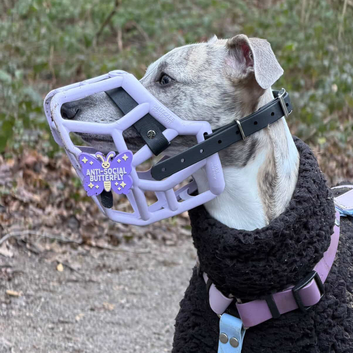 Snooties™ – Anti-Social Butterfly Muzzle Charm