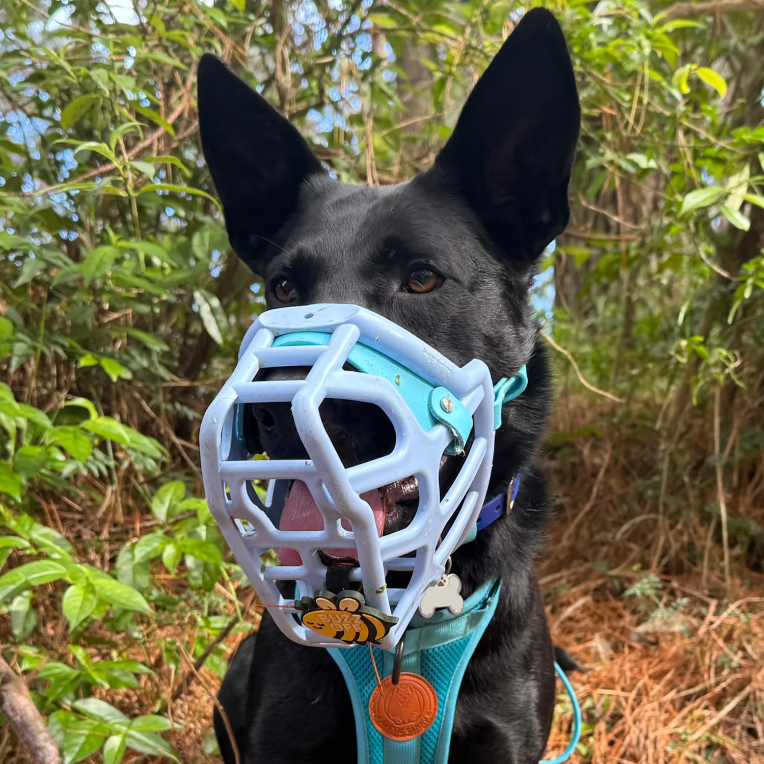 Snooties™ –  Buzz Off Snootie Muzzle Charm
