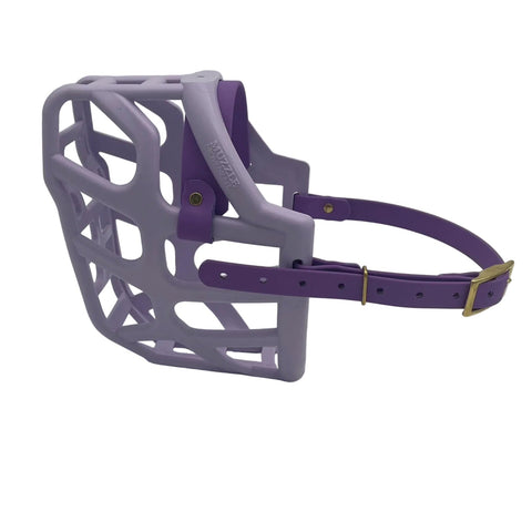 The Muzzle Movement Lilac Taz dog muzzle with amethyst purple straps and brass hardware on a white background