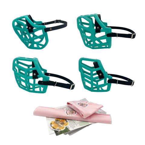 MINI Canine Professional Size Bundle