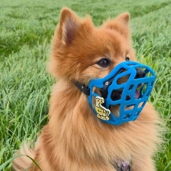 PRE ORDER Size Mia Dog Muzzle