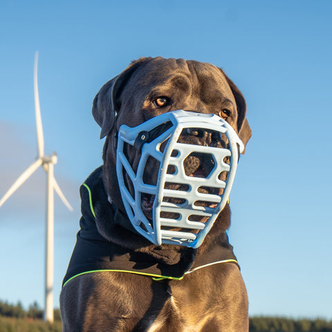 Size Mitzy Dog Muzzle - Made to order muzzle with colour customisation