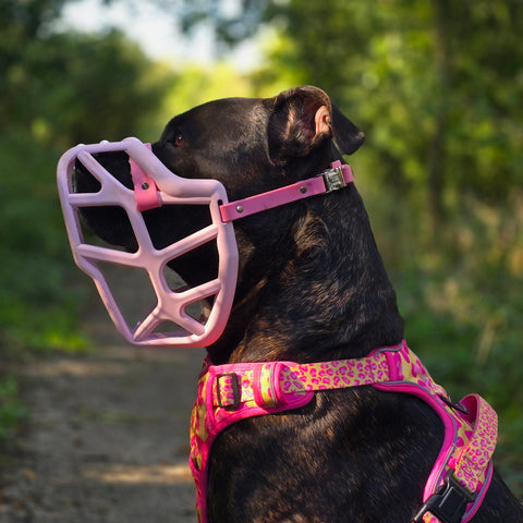 Size Mitzy Dog Muzzle - Made to order muzzle with colour customisation